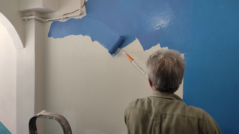 Best Drywall Texturing  in Appomattox, VA